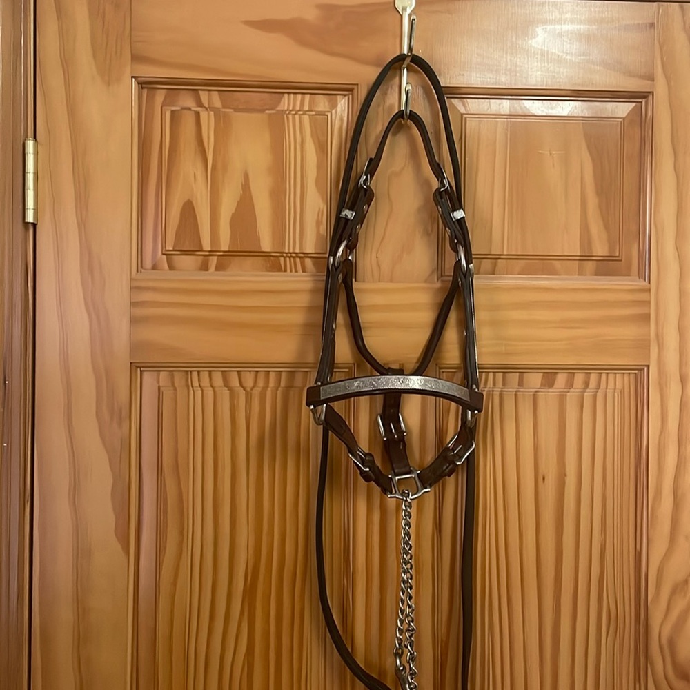 Leather show halter and matching lead
